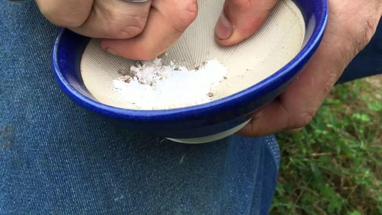 养花时加入这种药片, 植物生长速度变快, 根系生长健壮