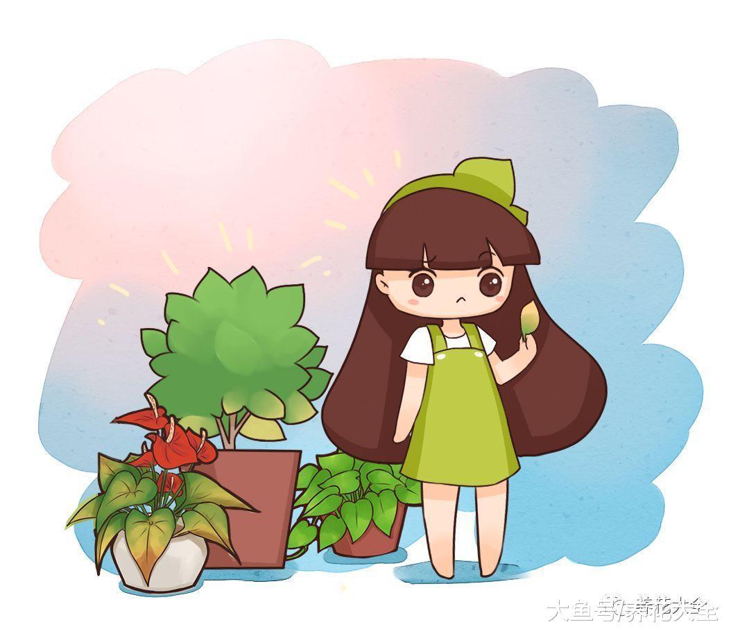 绿萝文竹盆里加点料, 叶子锃亮不招虫, 分分钟爆盆