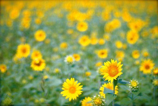 你忘记了这十句话, 才不会如此不安!