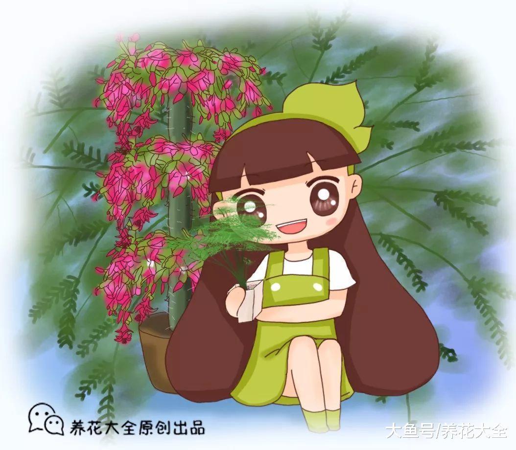 过年买盆它, 长成绿瀑布, 亲戚朋友都看呆了!