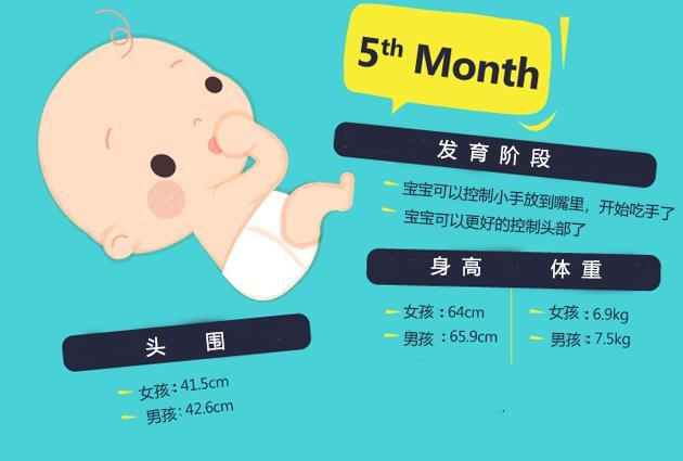 图解0到1岁宝宝每月发展进程, 你家宝宝达标了吗?