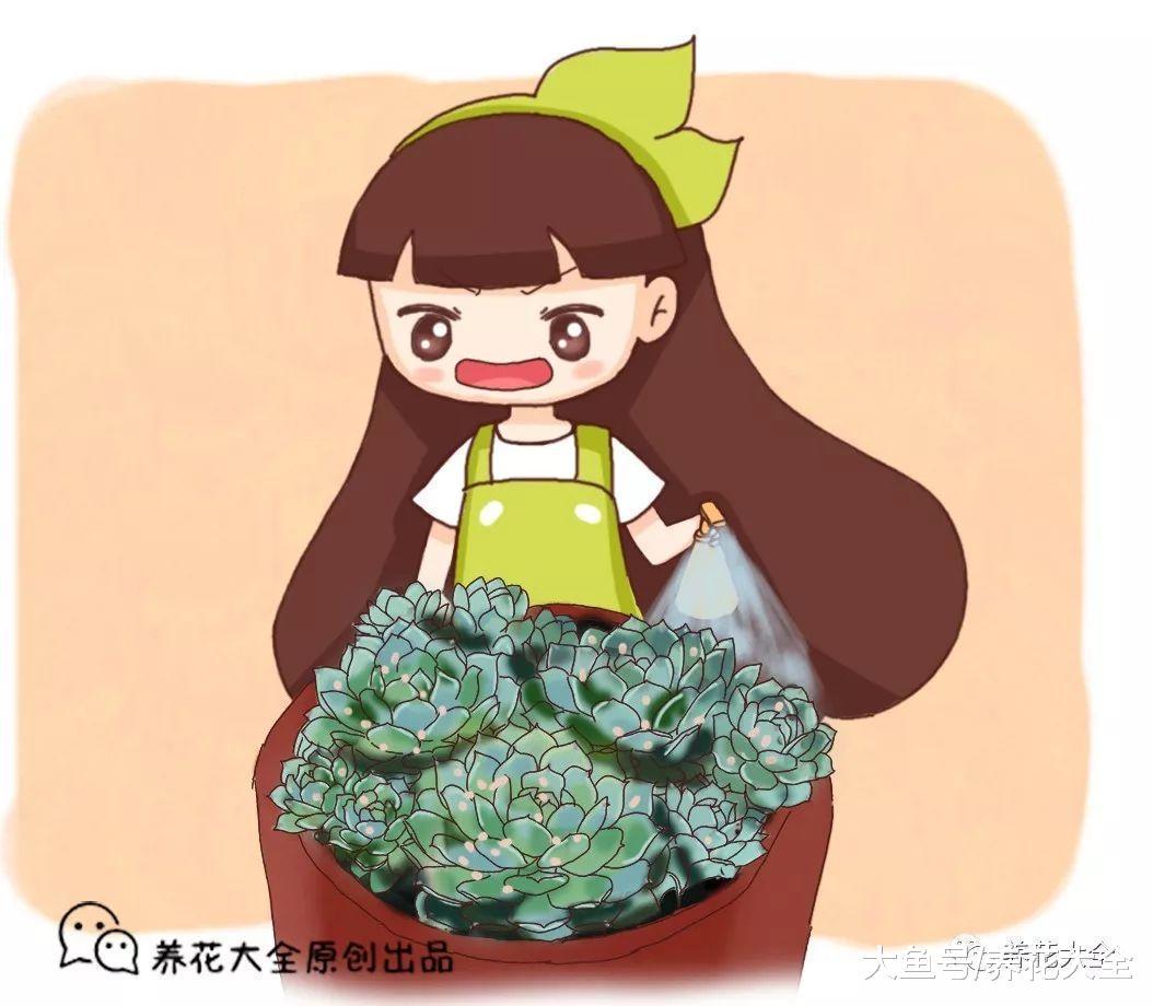 3月不防虫, 多肉全死光, 发现小白点赶紧治!