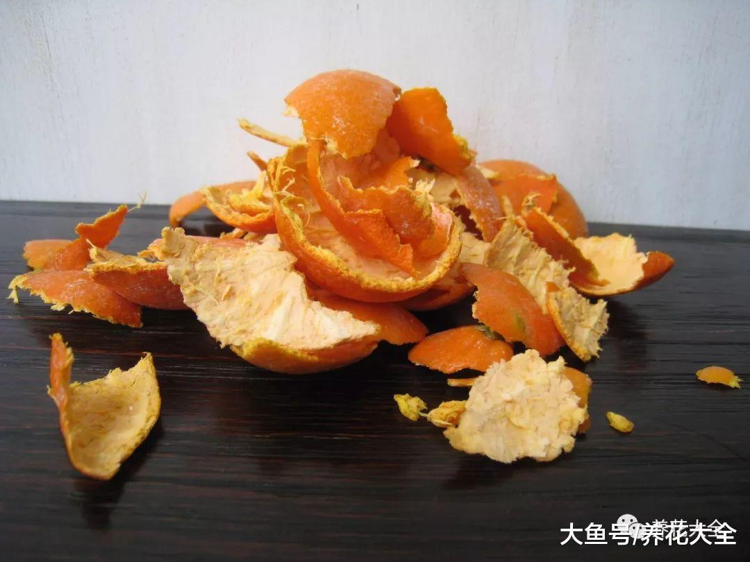 给花浇点废水, 不用施肥也呼呼长, 现在才知道!