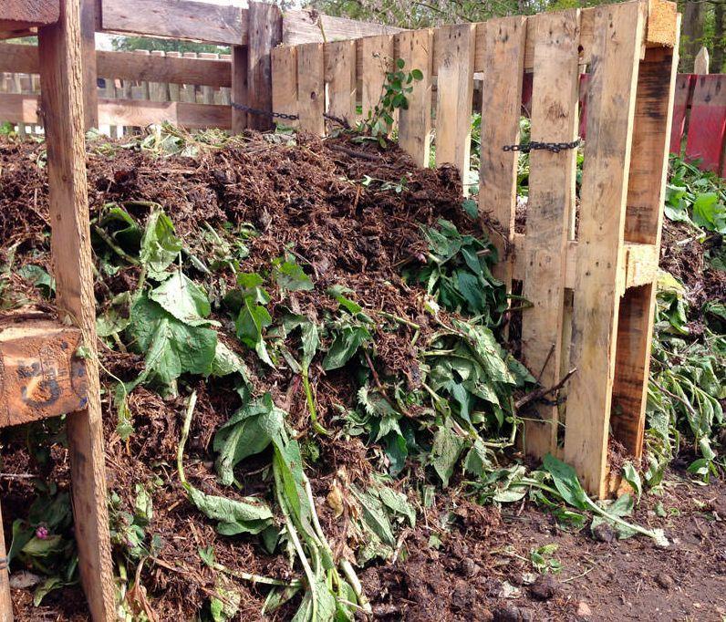 家里的垃圾都用来堆肥, 养花的时候放一些就能常年开花、枝叶旺盛