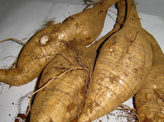 这些食物是肝病的“头号敌人”, 每天吃两口, 给肝脏“大扫除”