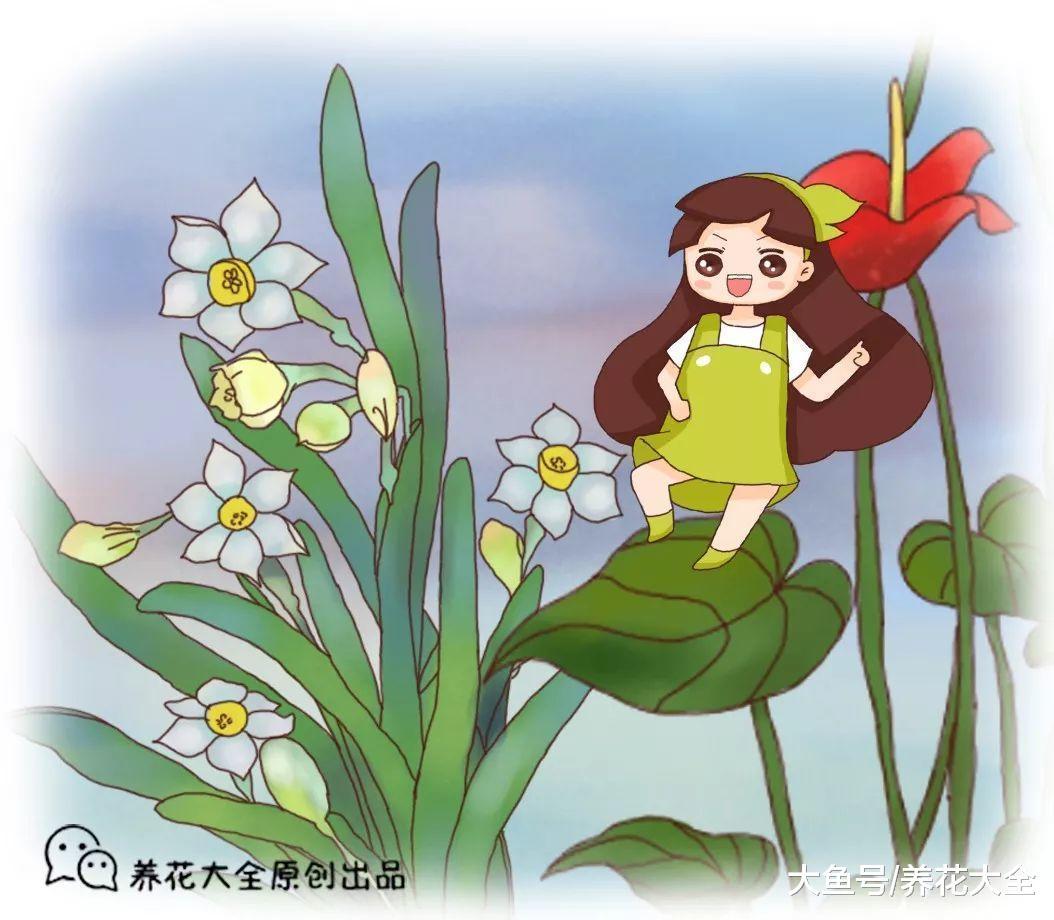 开春花市买花太多坑, 学了这些秘诀, 全看破
