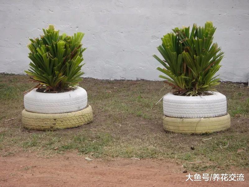 废弃的家具变成花卉的最佳容器, 9个乡村风格的花盆改造