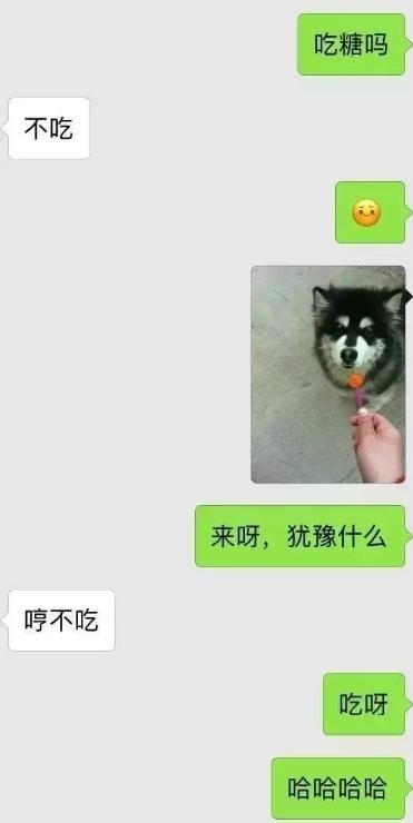 恋爱的男女套路深, 一组情侣聊天记录, 学习了!