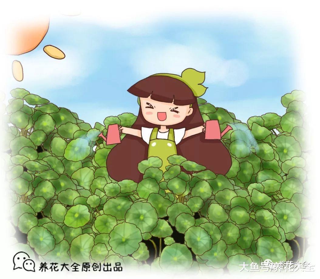 这6种花, 丢水里就活, 越浇越爆盆, 一缺水就蔫了!