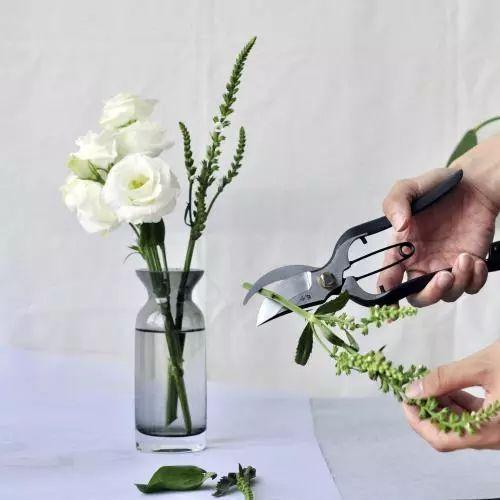 瓶插鲜花什么水温最好呢? 这些温度花友们有啥看法?