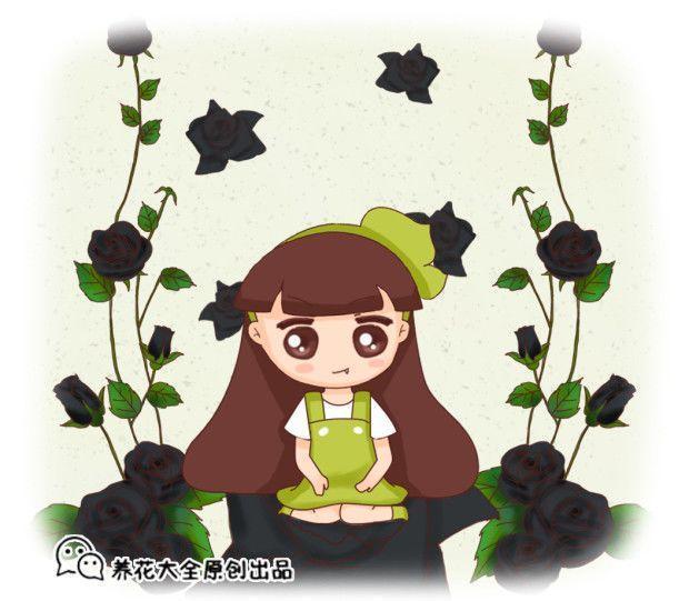 这种黑色的花, 随便在家养上一盆, 立刻上升几个档次!