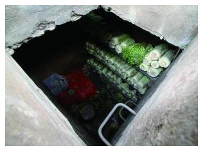 蔬菜埋在地窖能吃一冬天, 农村人这样存储蔬菜谁见过