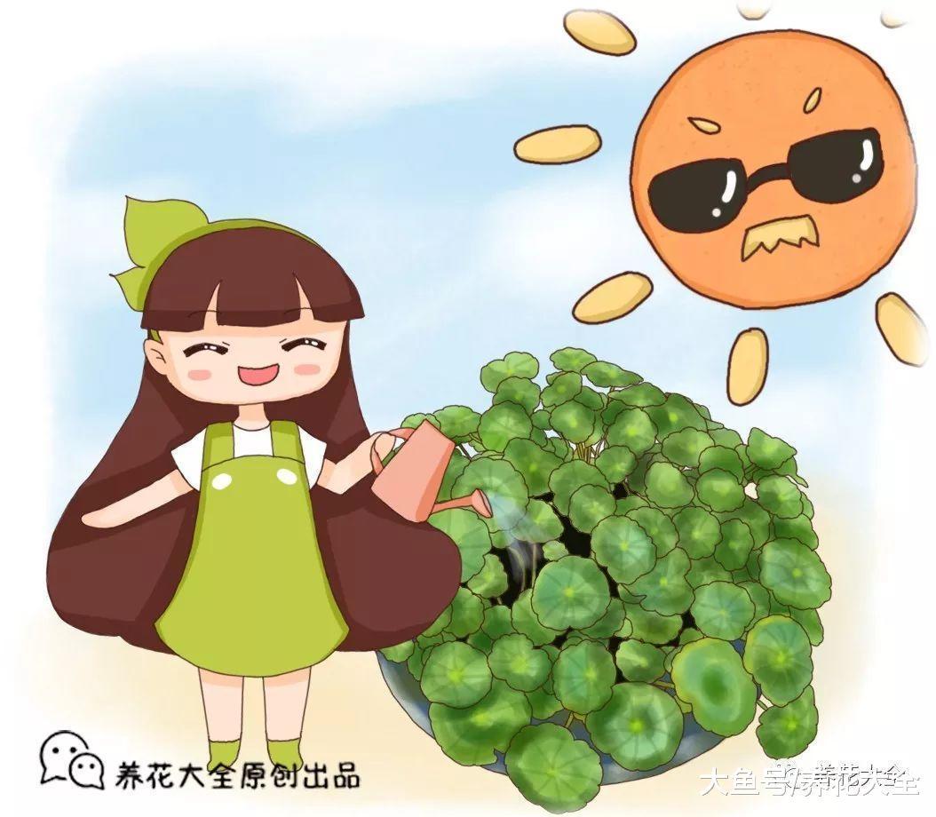 这5种花就喜欢水, 越浇越爆盆, 一缺水就蔫巴巴!