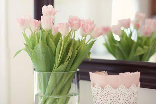 微信里人生感悟的好句子, 句句惊醒梦中人!