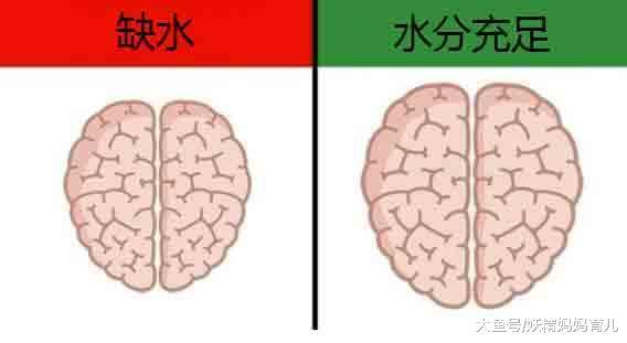 导致智商下降的9件事, 怀孕只是其中之一, 你认同哪一个