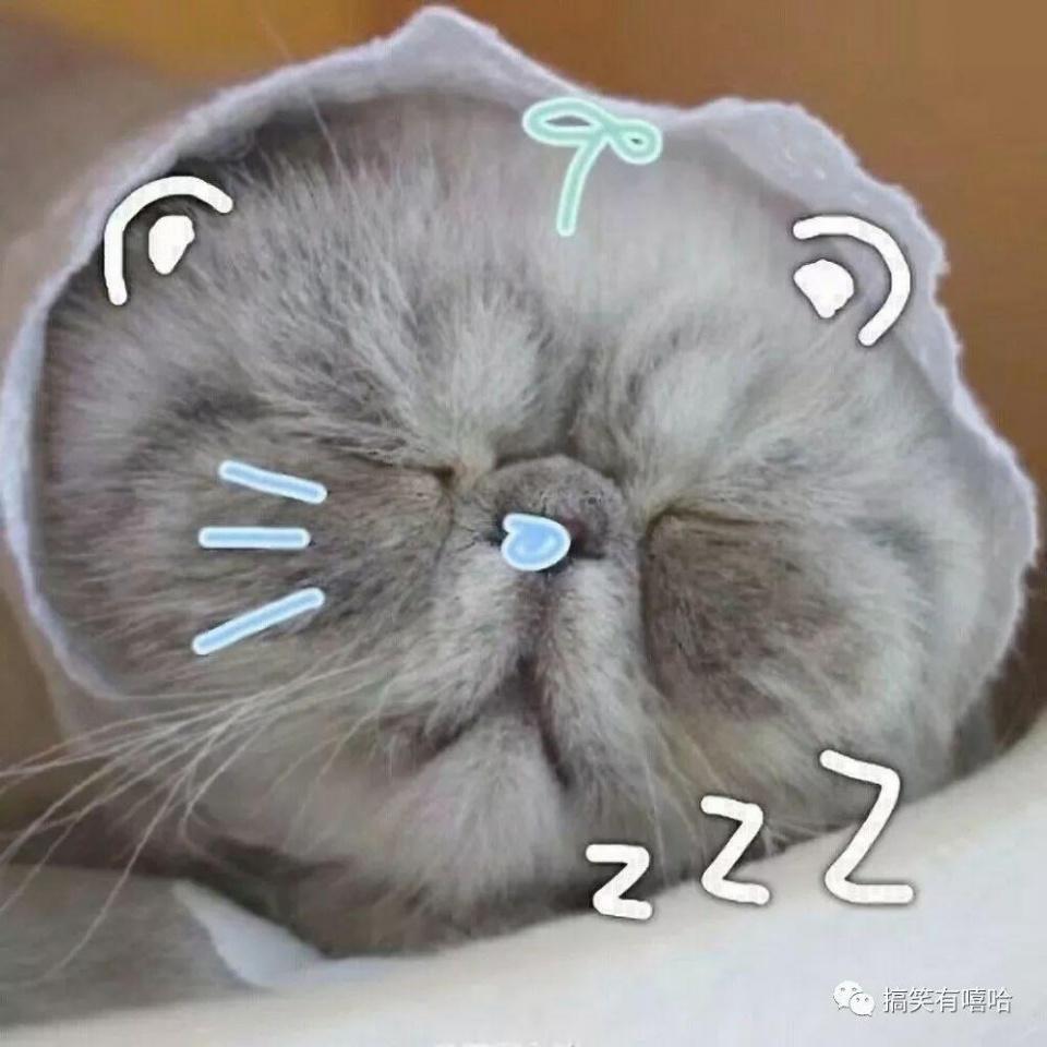 撩妹经典套路对话, 都是直接来电套路的