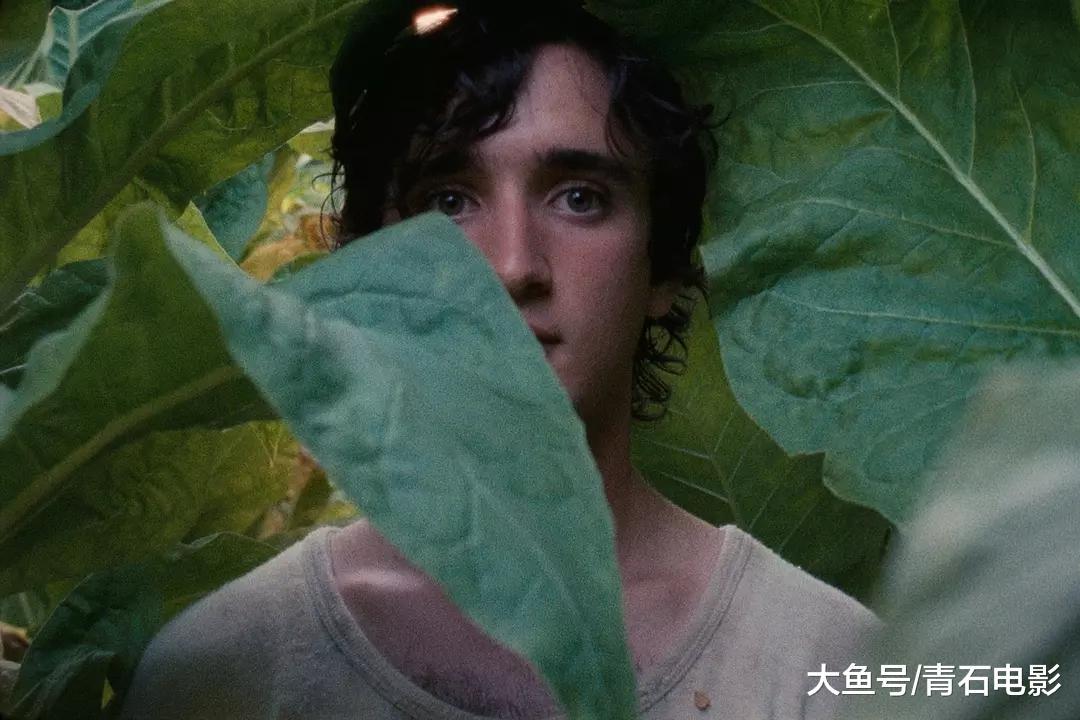 【#意大利文艺片#《#幸福的拉