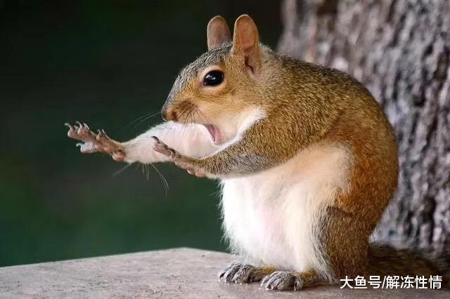 想要好身材，却懒得锻炼身体；想