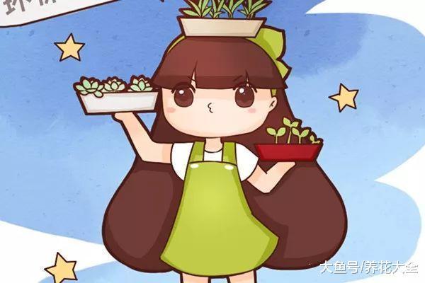 家里的锡纸, 剪1刀, 秒变养花神器!
