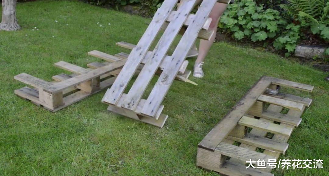 废弃的木制托盘变成一个草莓园, 没有病虫侵扰, 硕果累累