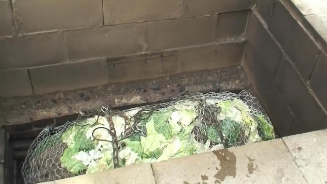美国农民烤猪方式! 中国网友: 简直就是在浪费食材