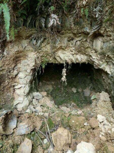 小伙野外探险, 挖出无数宝贝, 最后无偿捐献博物馆