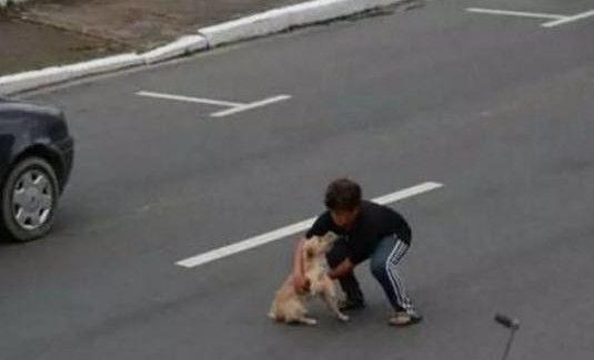 流浪狗误闯高速公路, 小男孩为了救它差点被车撞上!