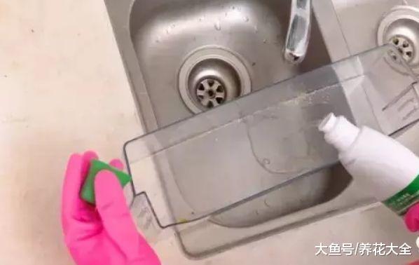 1招快速清洗冰箱, 没异味囤货多, 使用寿命延长一倍