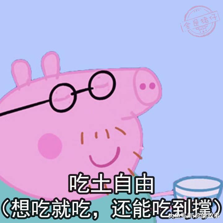 女生所谓的自由, 绝不仅仅是自由而已