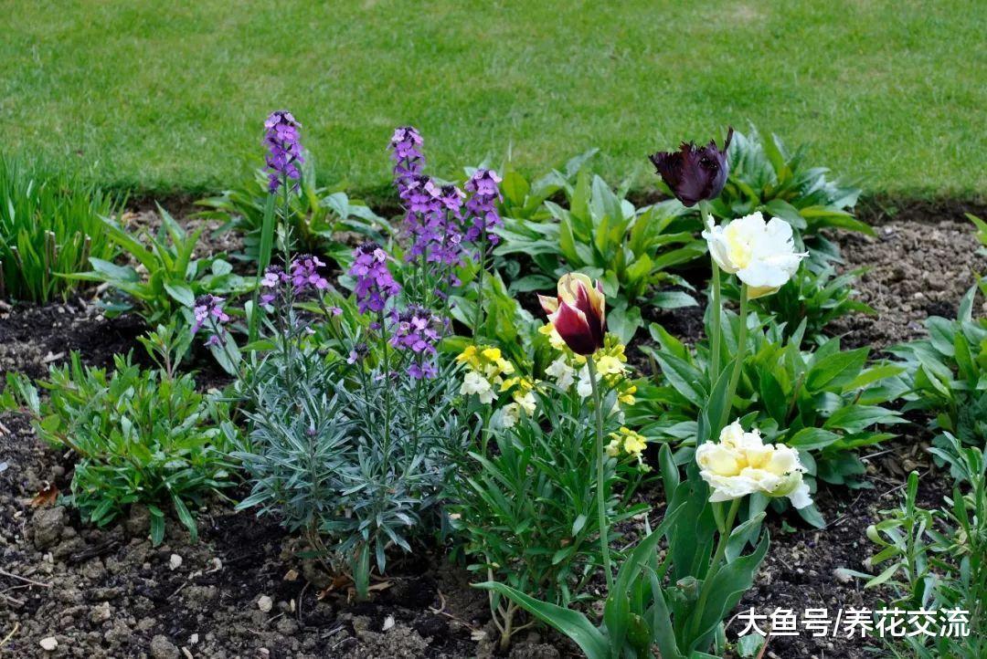 为什么别人的花养多了显得清新自然, 你的就显得杂乱无章呢?