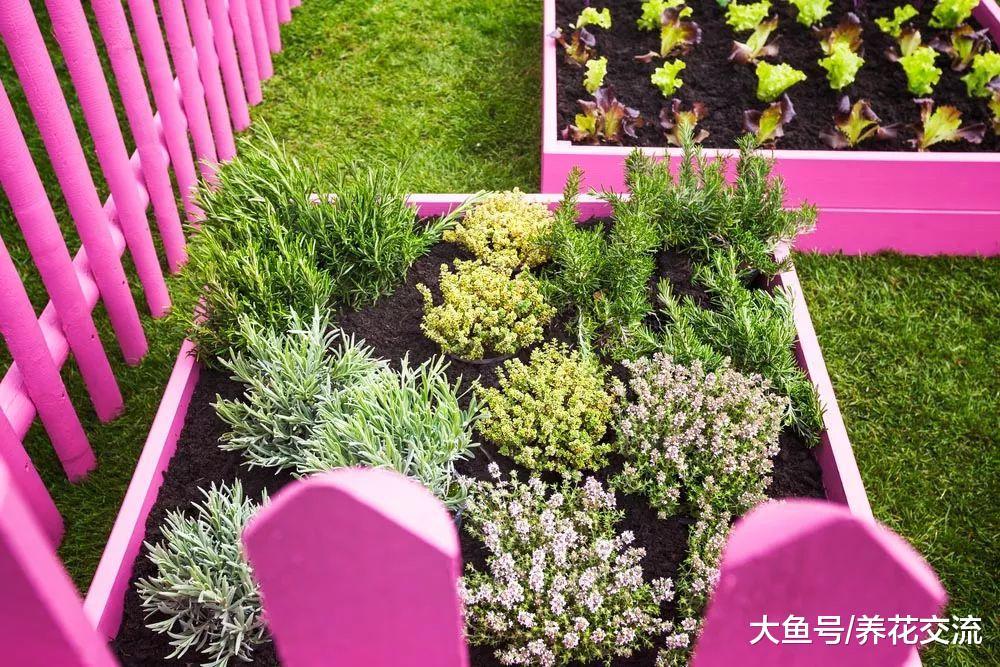 这17个植物庭院创意你更喜欢哪一个呢? 这些后院看起来太奇妙了