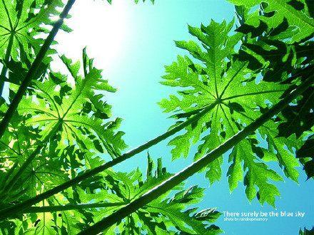 精辟到噎死人的短句子, 句句直击心底(深度推荐)
