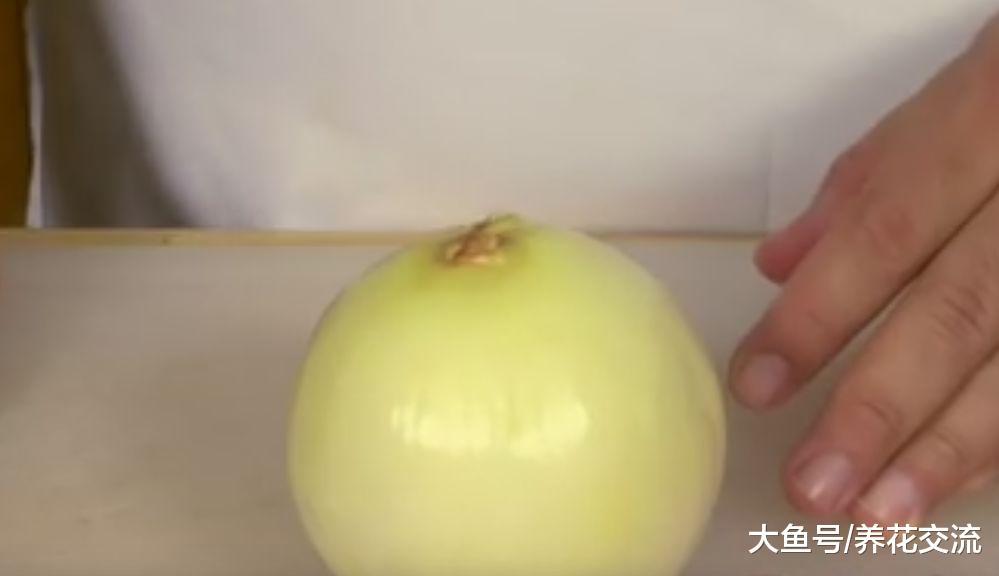 用这种方法切洋葱, 妈妈再也不担心我流眼泪了