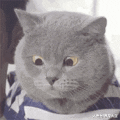 旧手机卖了泄露信息, 这么一捣鼓, 立马变废为宝!