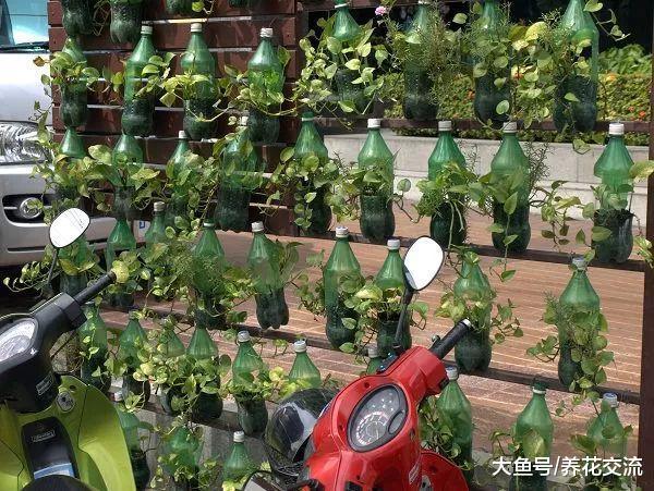 11个巧妙废物改造成小花坛的创意, 养花省钱又美观