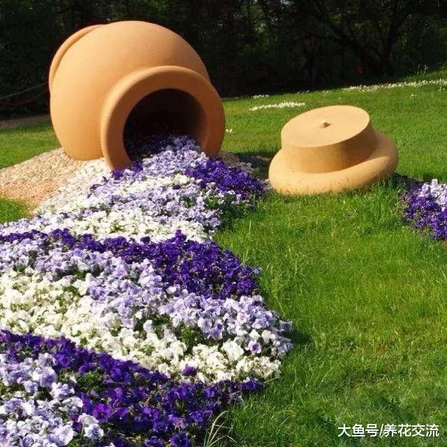 花盆溢出来的花朵都倾泻在地上了, 路人看过没有不艳羡的