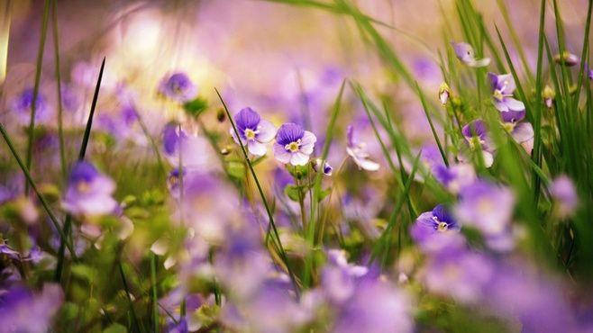 不要把这十句话, 看作垃圾!