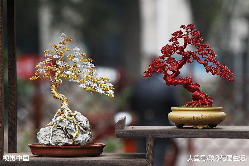微型盆景中常用的几种类型(二)