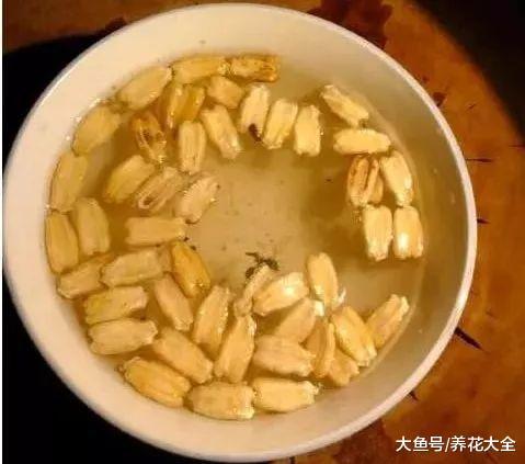 阳台种1棵葫芦, 1根藤上挂了7个娃, 细腰大肚惹人爱