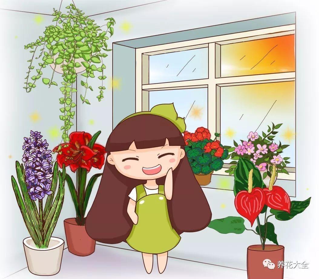 家里摆上花, 才有生机, 才算是个家!