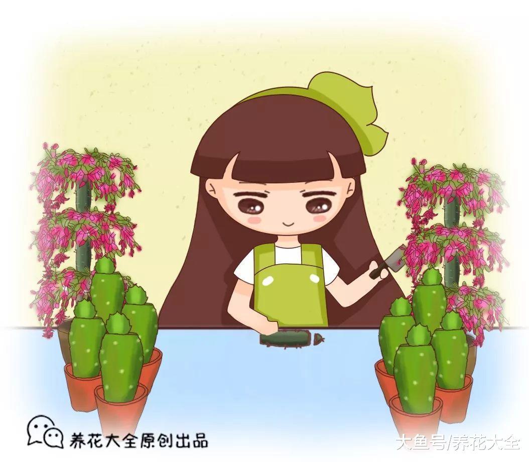 同样一盆花, 为啥别人家的1盆变百盆, 你家的病蔫蔫不长个?