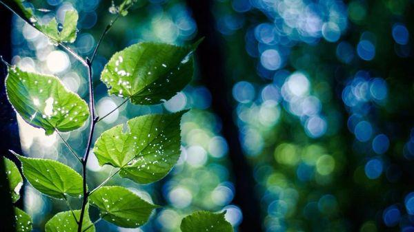 人生没有方向时, 请看这十句话!