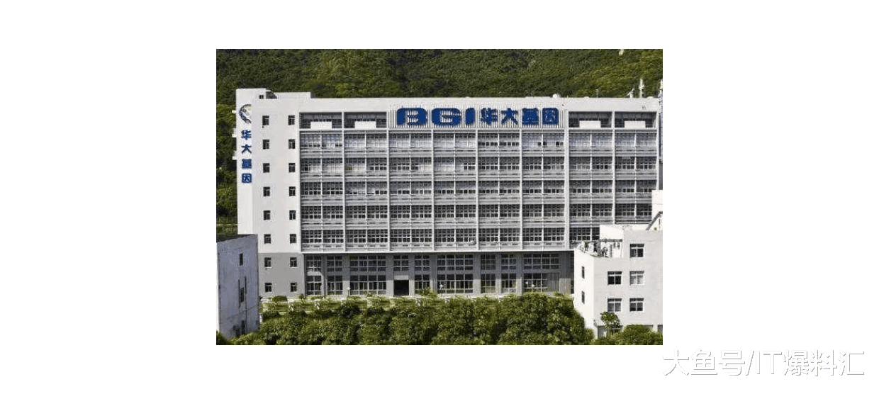 【曾被崔永元炮轰的华大基因，深