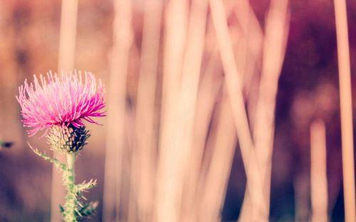 只有十句话, 却让我们在宽容中壮大!