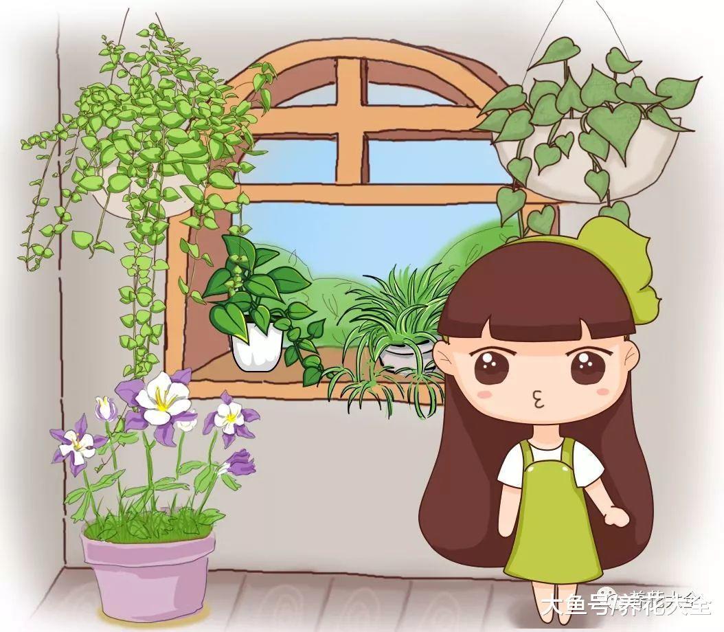 土里撒点“肥王”, 不用花钱买, 花嗷嗷长