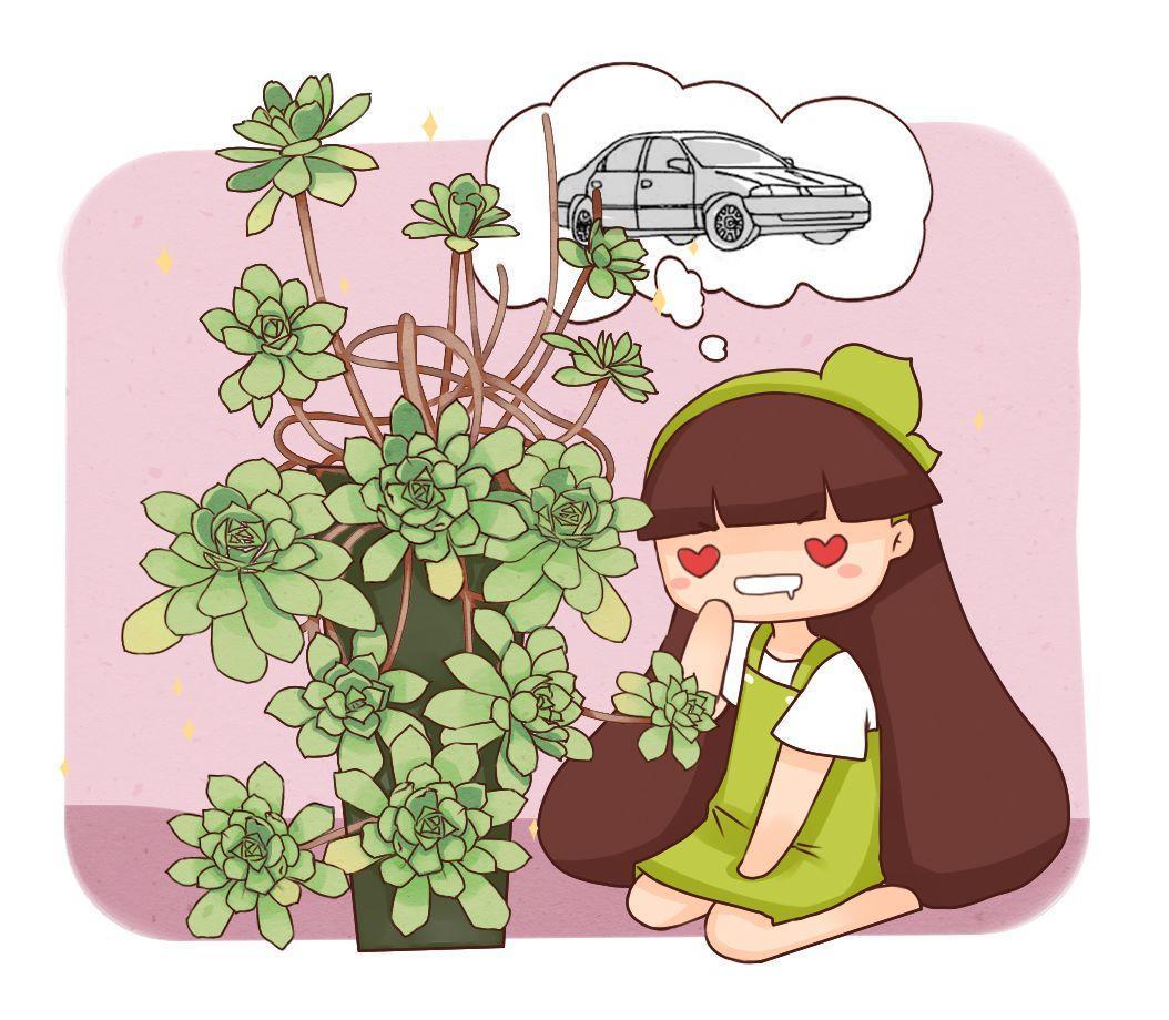 多肉里有这么多“贵族”, 标价贵的离谱, 价格足够买辆车!