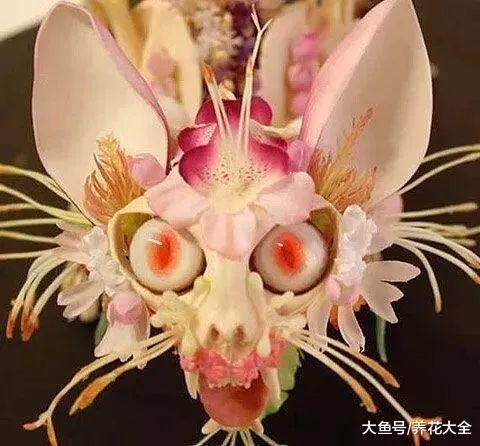 这些花花草草, 简直奇葩的笑死人, 赶紧来看看!