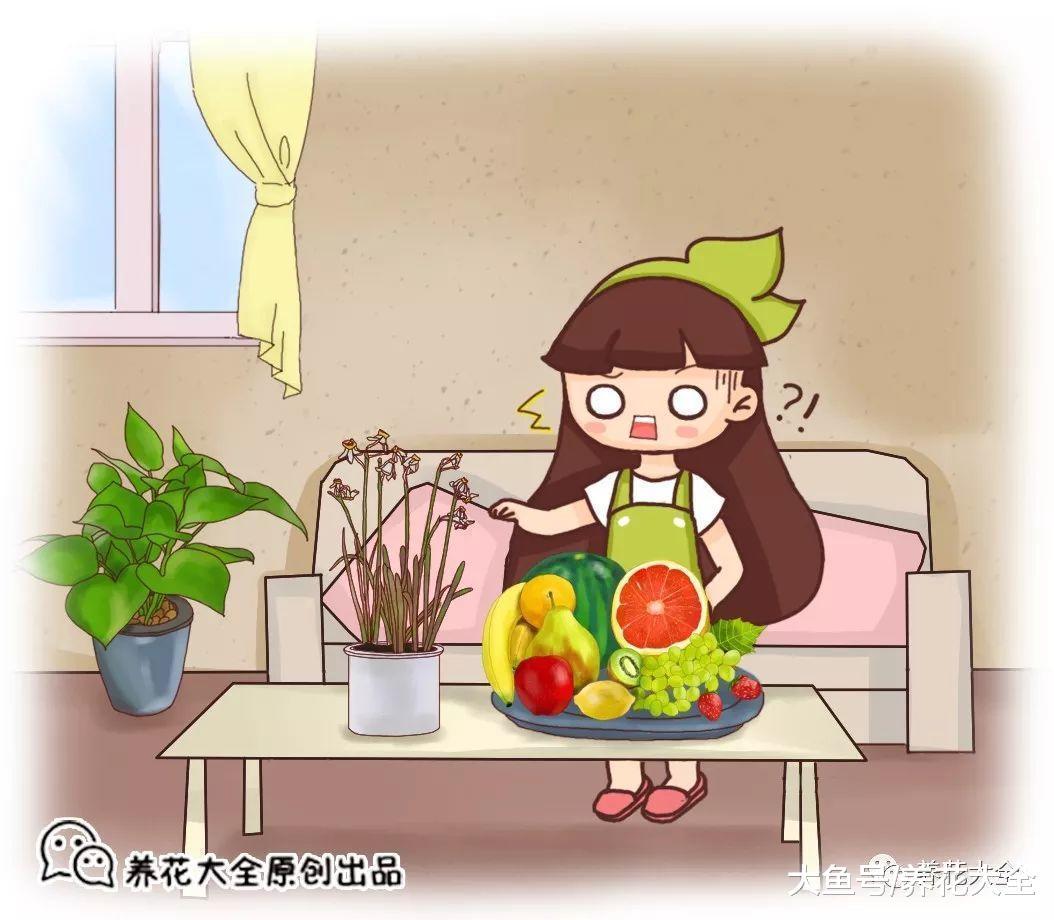 家里的花别乱摆, 摆错了位置, 养一盆死一盆