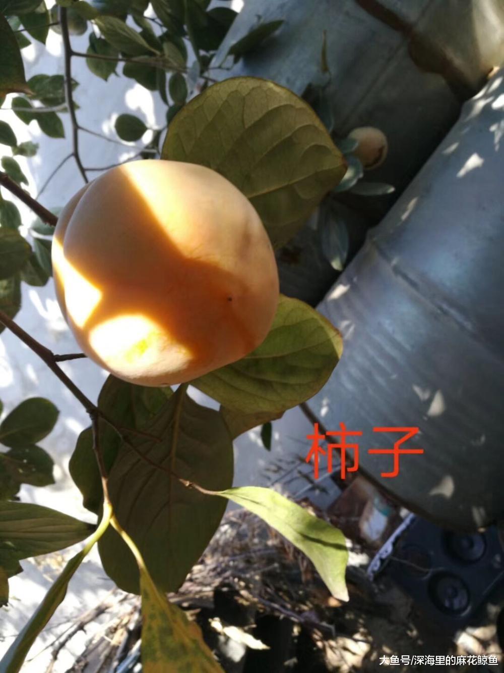 国庆期间不知道去哪里的各位，不