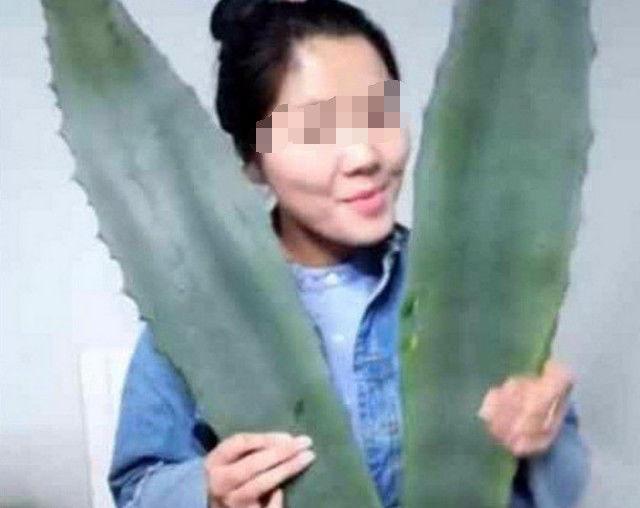 女主播为了博关注, 直播吃芦荟, 随后发生的叫女孩后悔莫及!